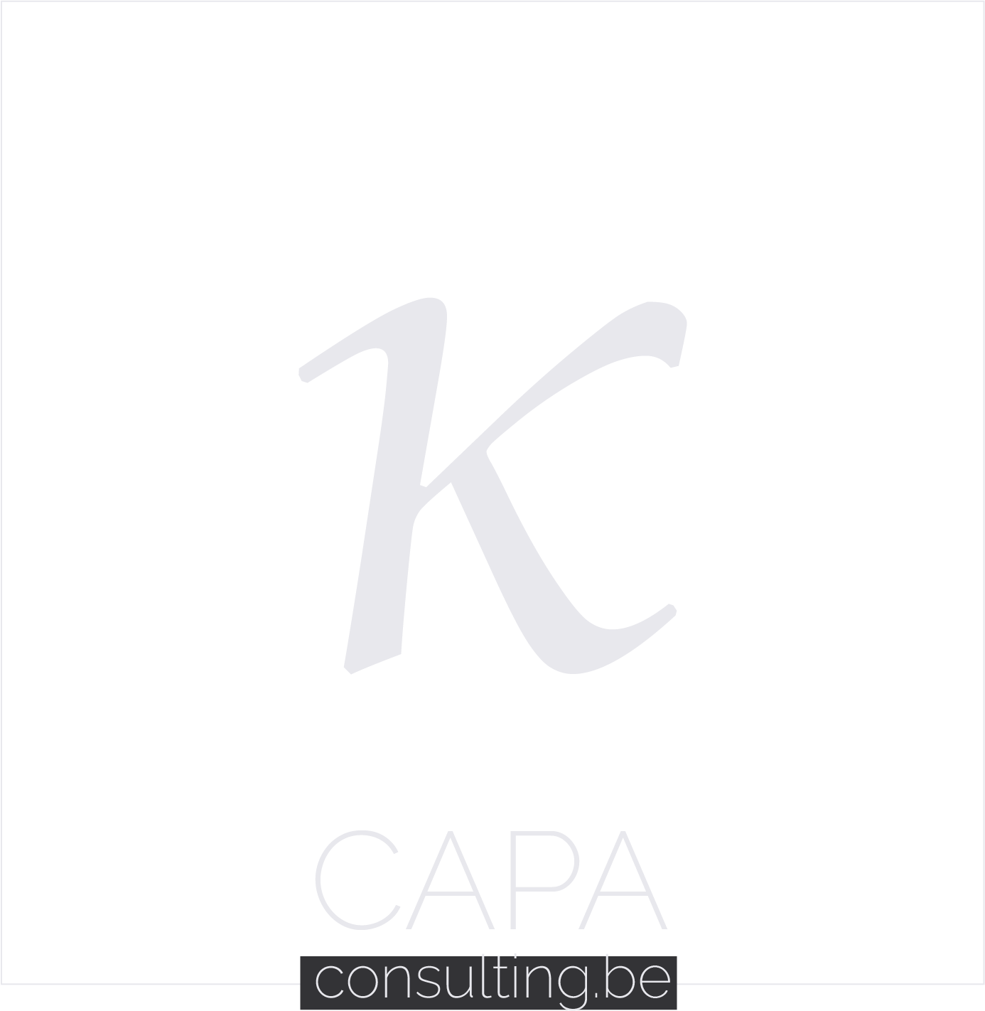 Logo of CAPAconsulting as footer
